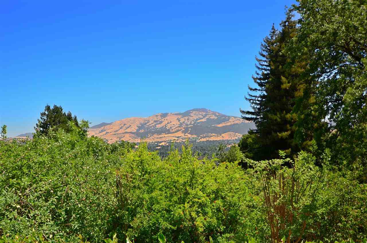 a view of a mountain range with lush green forest