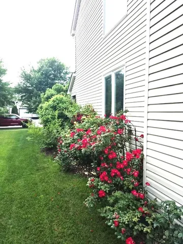 $430,000 | 1616 Stanton Lane, Plainfield, IL 60586