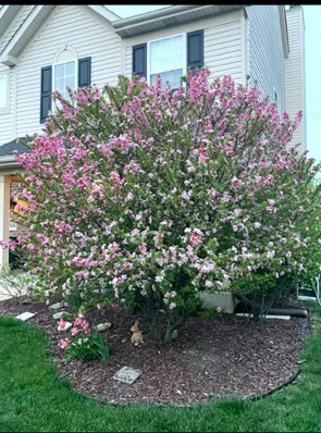 $430,000 | 1616 Stanton Lane, Plainfield, IL 60586