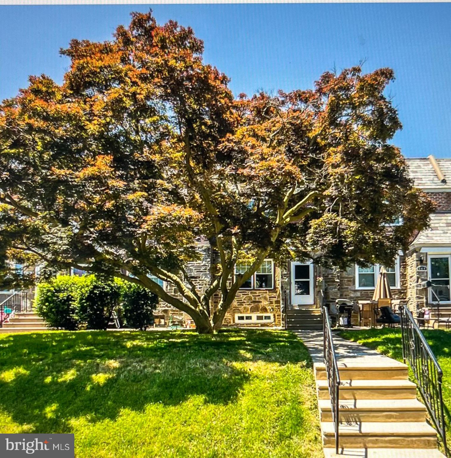 a view of a yard with plants and trees
