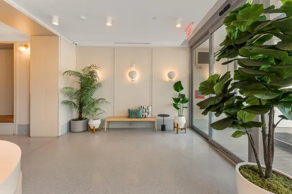 a living room with furniture and a potted plant
