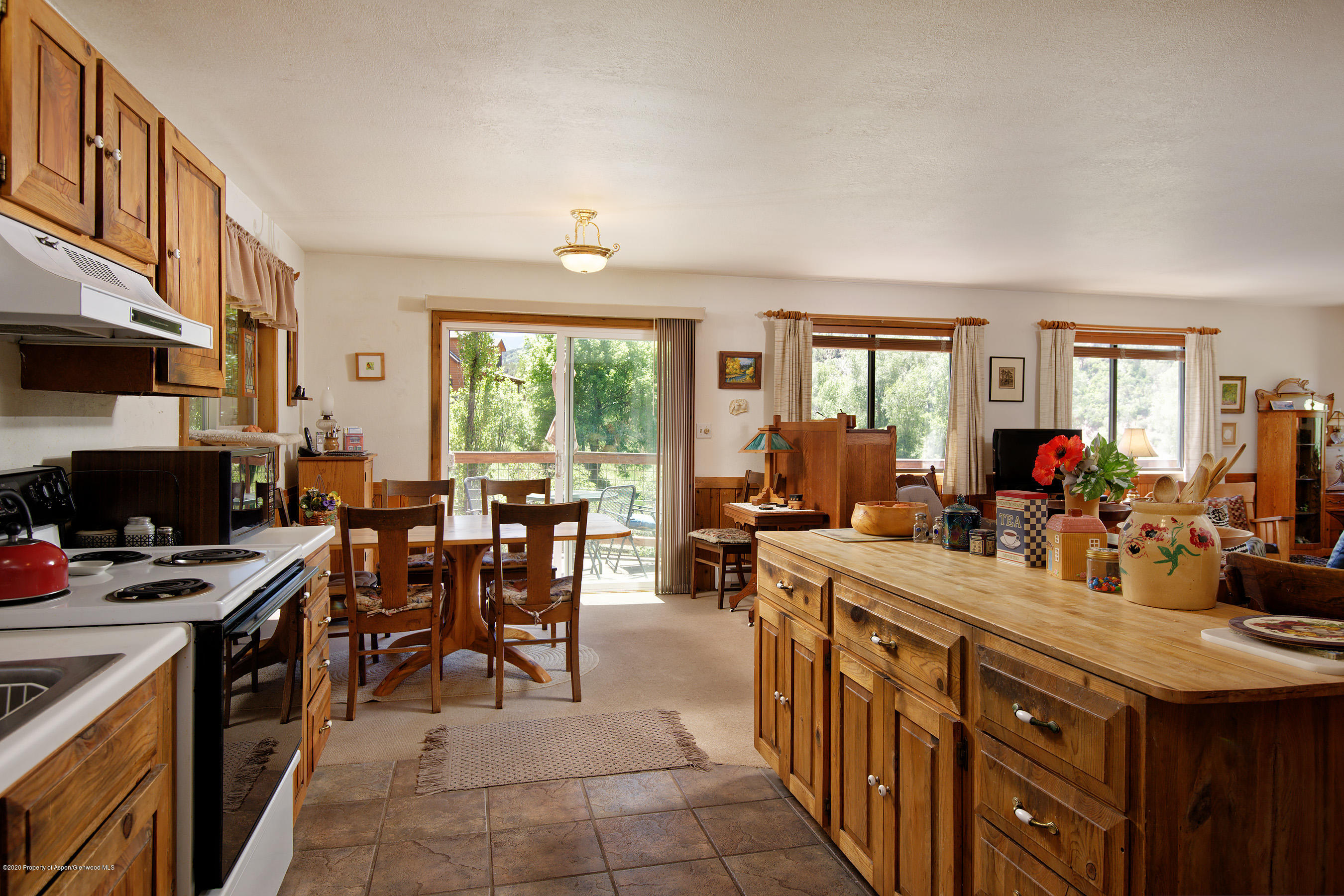 100 Riverside Road Carbondale, CO 81623 - Photo 16 of 38 100Riverside_DASH_060820_008