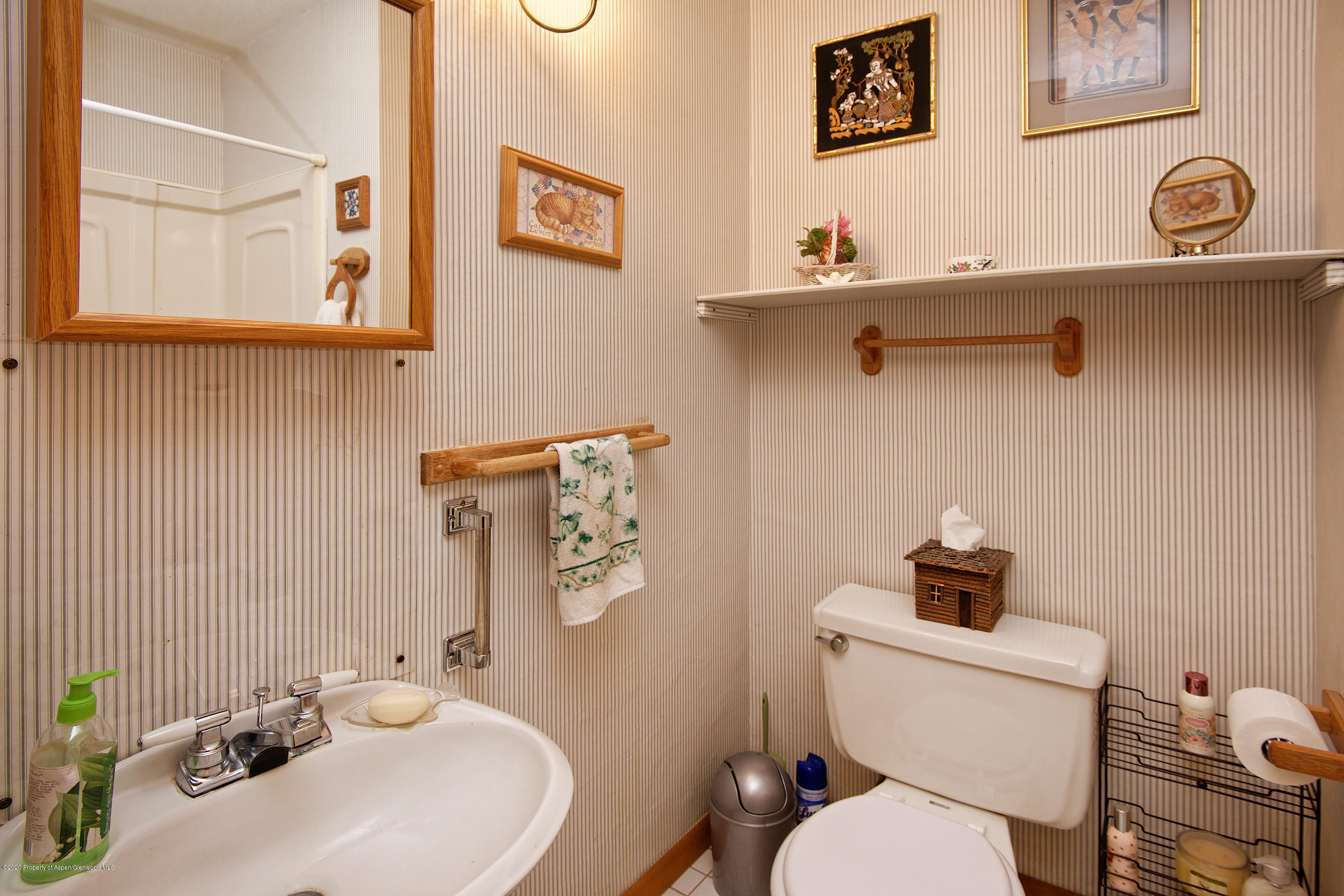 100 Riverside Road Carbondale, CO 81623 - Photo 27 of 38 100Riverside_DASH_060820_004
