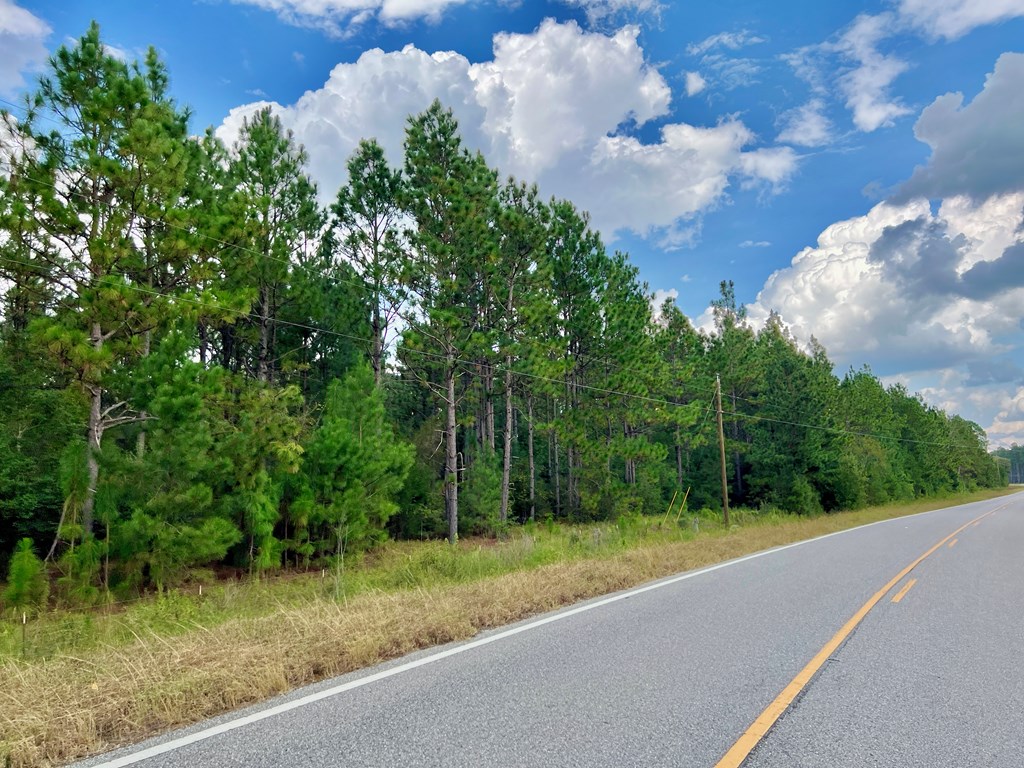 202-acres Columbus Holley Road Samson, AL 36477 - Photo 23 of 50