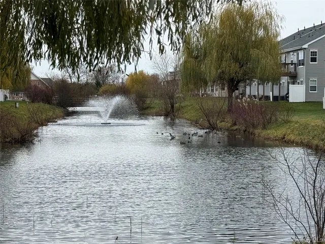 a view of a yard with plants and trees