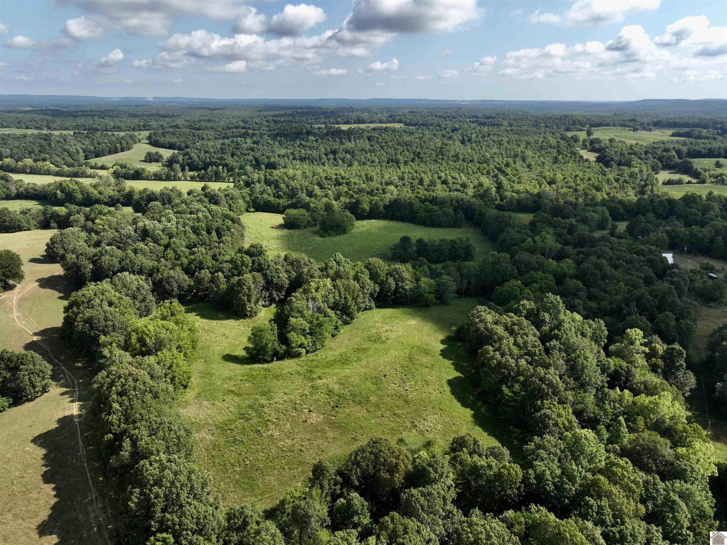 323 Barkley Road Marion, KY 42064 - Photo 1 of 1 Photo 1