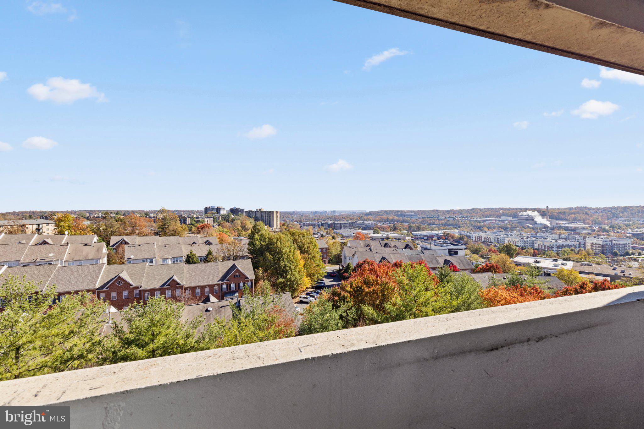 5911 Edsall Road, Unit 1201ALEXANDRIA Alexandria, VA 22304 - Photo 6 of 6 Scenic urban vista in autumn hues.