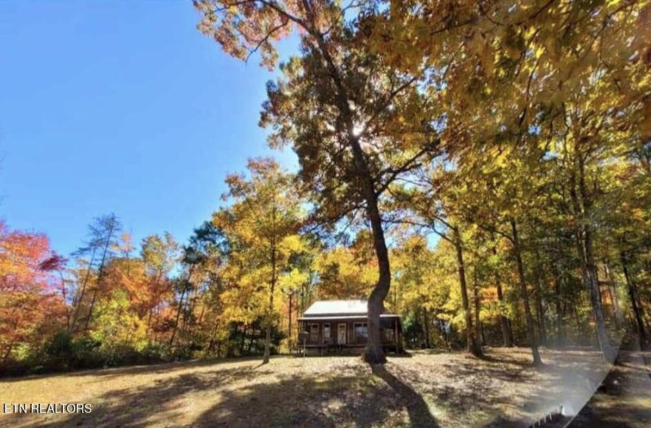 346 Scott Wyatt Road Deer Lodge, TN 37726 - Photo 11 of 29 346 Scott Wyatt front view land from dri