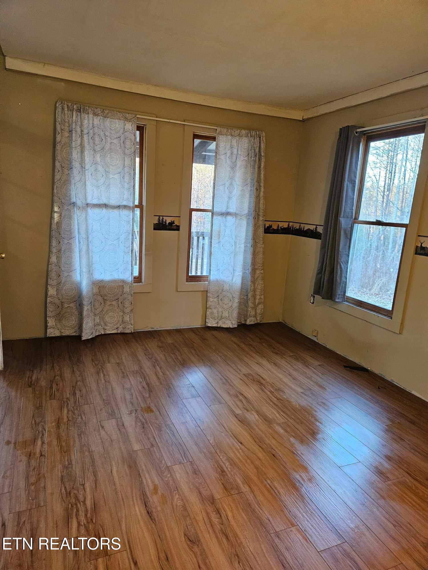 346 Scott Wyatt Road Deer Lodge, TN 37726 - Photo 14 of 29 346Scott Wyatt living room