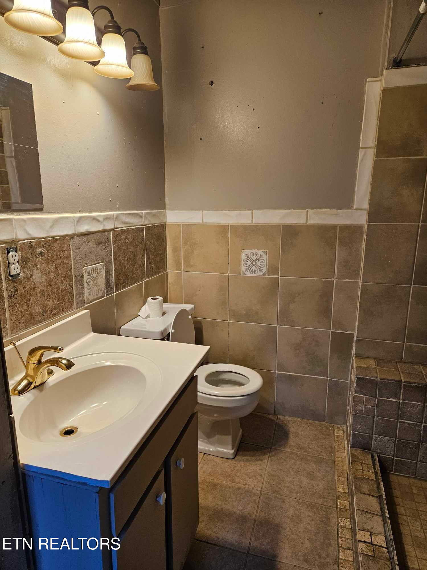 346 Scott Wyatt Road Deer Lodge, TN 37726 - Photo 19 of 29 346 Scott Wyatt bathroom