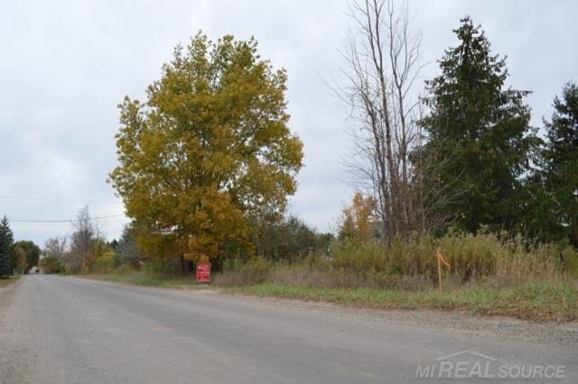 0 Gould Romeo, MI 48065 - Photo 4 of 15