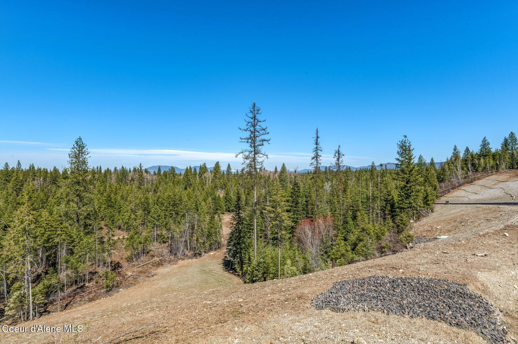 Nka Nka Dickens Road Athol, ID 83801 - Photo 2 of 45 --1.jpg-SMALL