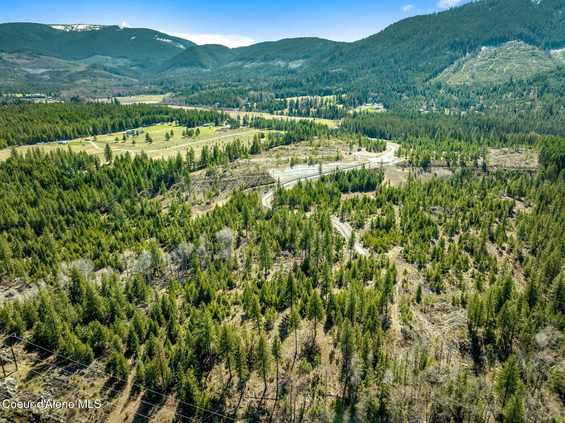 Nka Nka Dickens Road Athol, ID 83801 - Photo 25 of 45 --24.jpg-SMALL