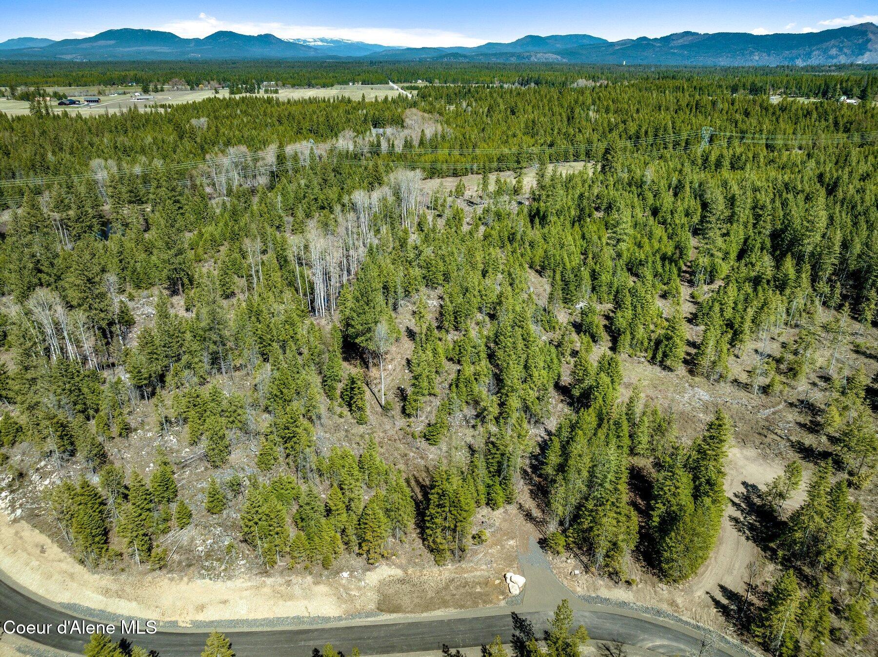 Nka Nka Dickens Road Athol, ID 83801 - Photo 43 of 45 --42.jpg-SMALL