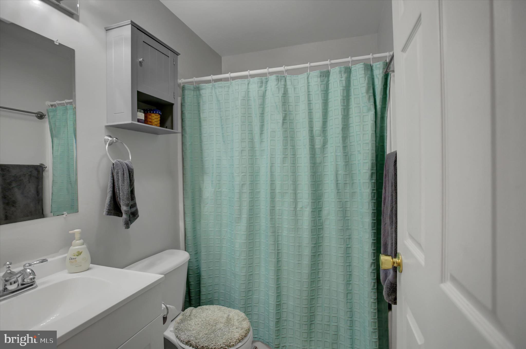 10482 Mapleton Road Shippensburg, PA 17257 - Photo 17 of 40 a bathroom with a sink a toilet and shower curtain