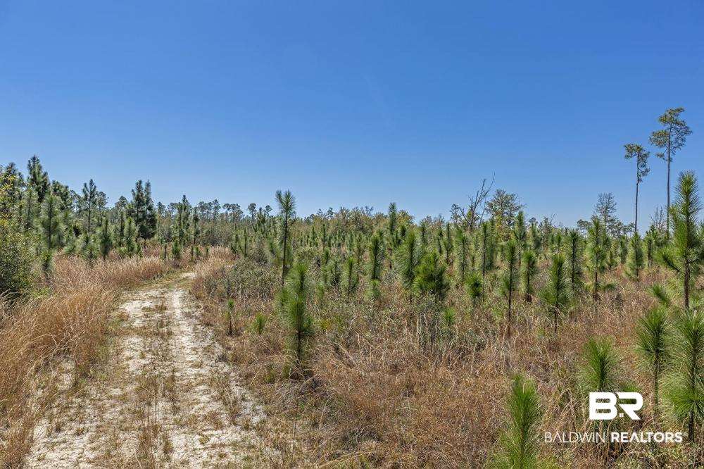 0 Three 3 Rivers Road Seminole, AL 36574 - Photo 6 of 27