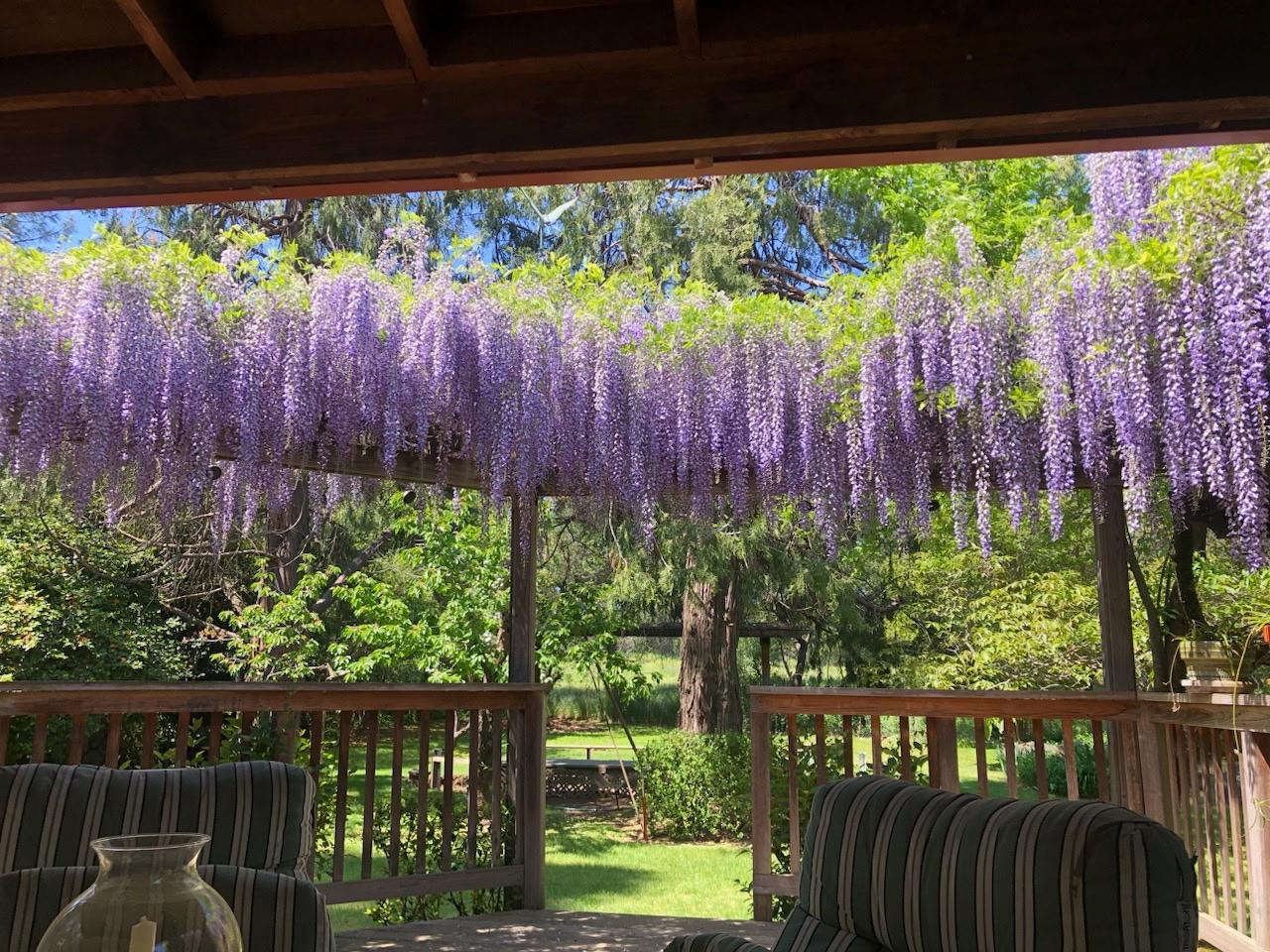 2100 Sisley Road Penryn, CA 95663 - Photo 4 of 57