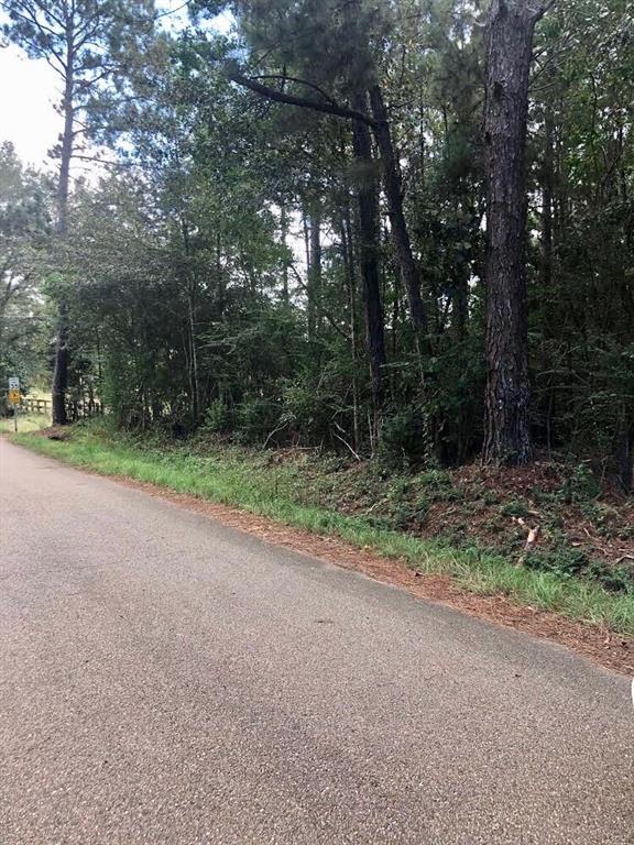 11566 Tantela Ranch Road Folsom, LA 70437 - Photo 1 of 1