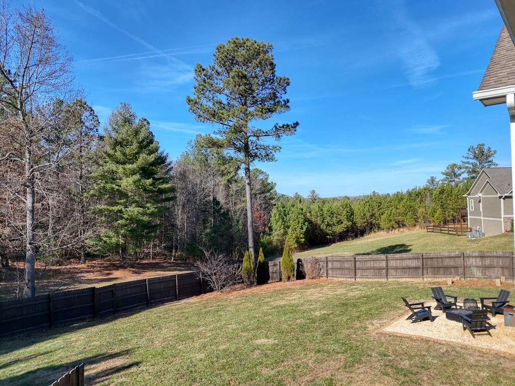 161 Loop Lane Blairsville, GA 30512 - Photo 45 of 67 a view of a backyard