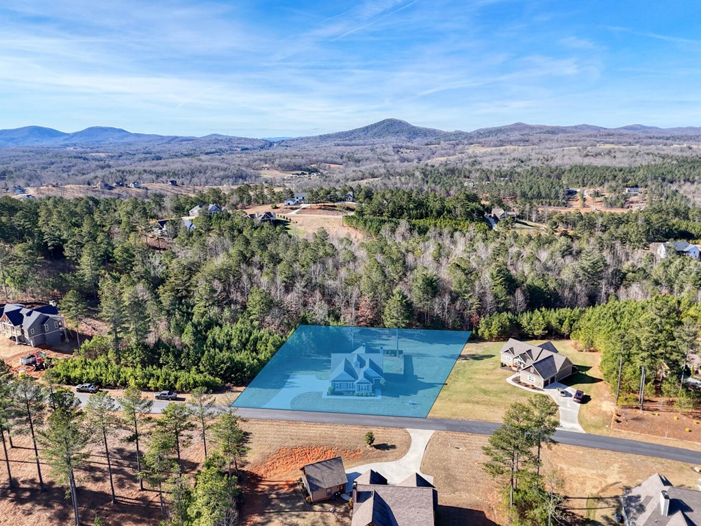 161 Loop Lane Blairsville, GA 30512 - Photo 56 of 67 an aerial view of a house with yard