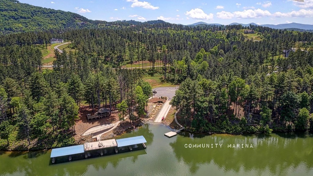 161 Loop Lane Blairsville, GA 30512 - Photo 59 of 67 a view of a lake with a mountain