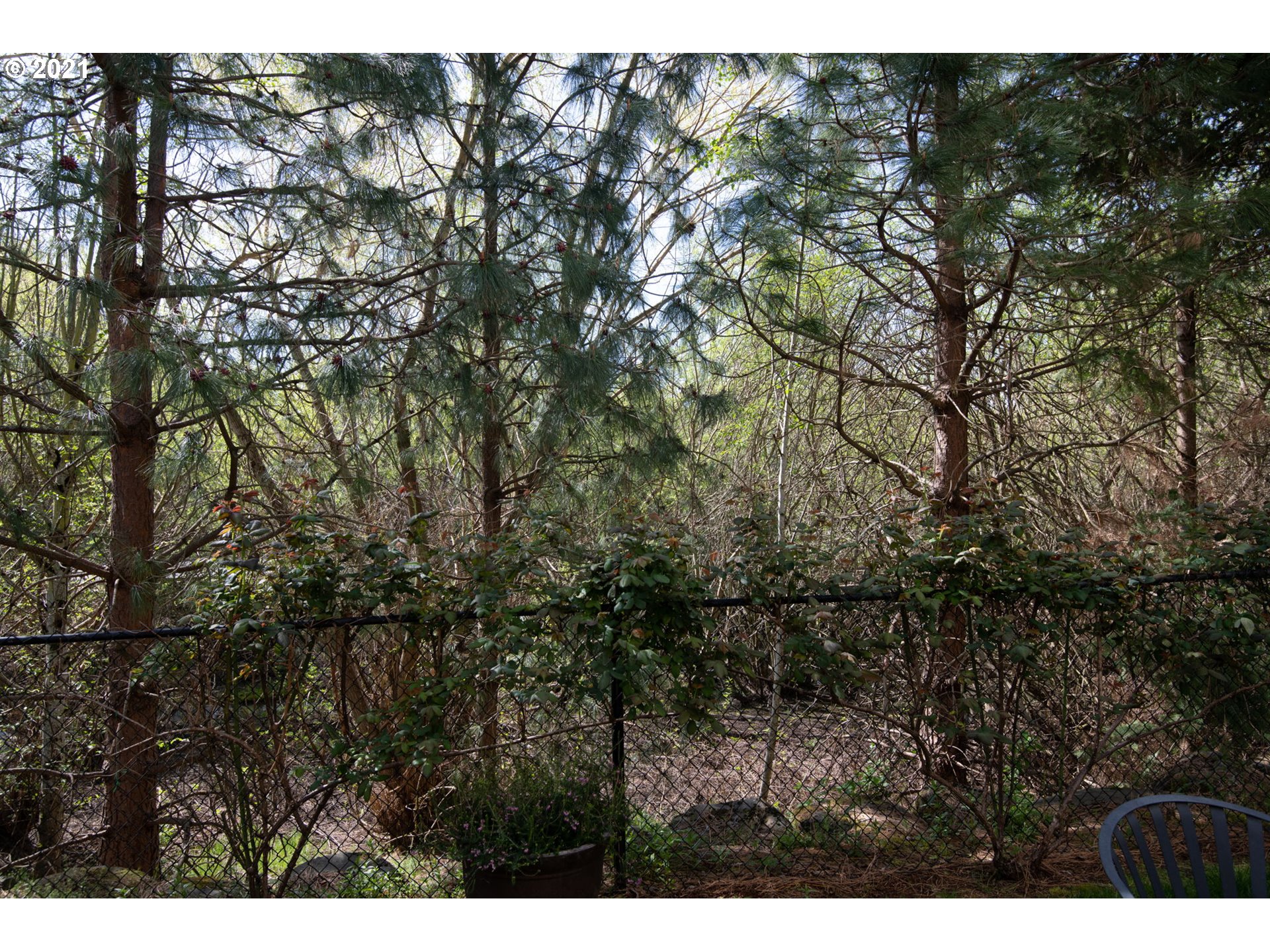 12845 Southwest Blue Bill Lane, Unit 101 Beaverton, OR 97007 - Photo 18 of 18