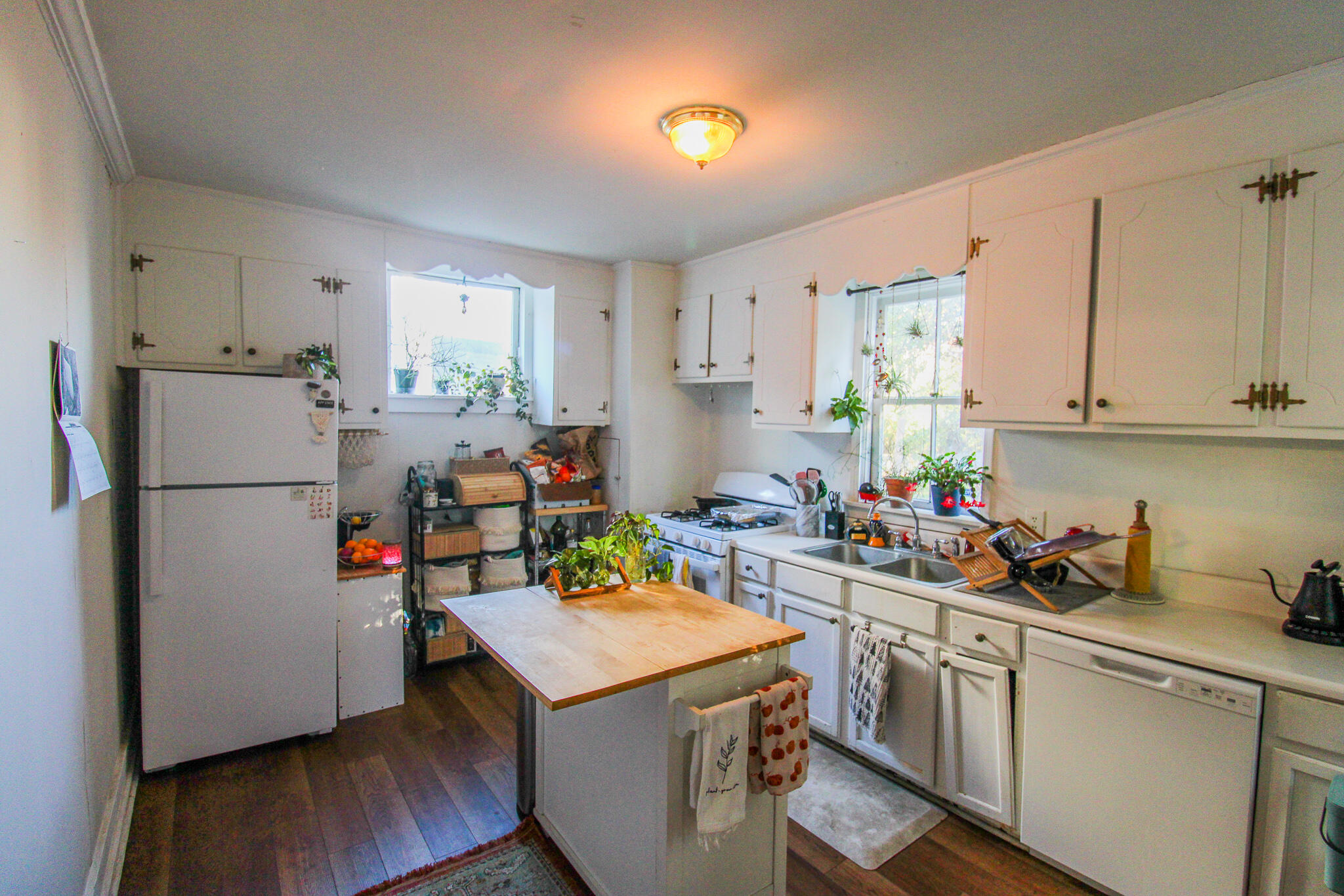 7 Ann Street Charleston, SC 29403 - Photo 5 of 18 0F7DAF1F-5899-4ACE-AA64-090138BDDC70