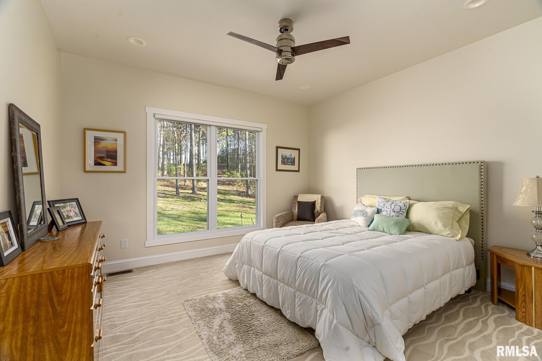 3835 Parrish Ridge Lane Goreville, IL 62939 - Photo 21 of 57 Gallery Image 21