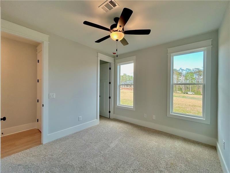 115 Palisade Drive Rydal, GA 30171 - Photo 23 of 29