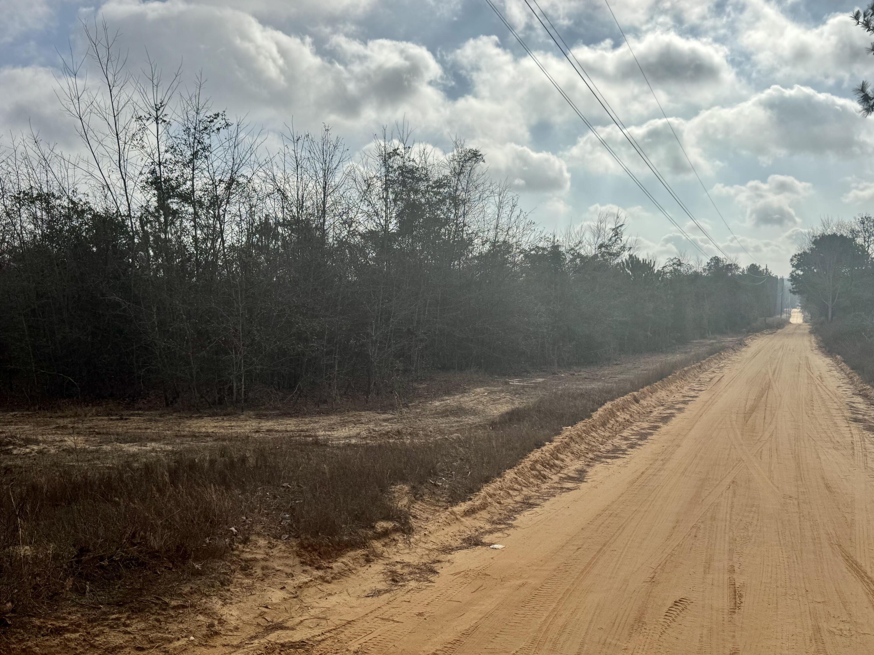0 Thunder Road Batesburg, SC 29006 - Photo 5 of 7 IMG_5209