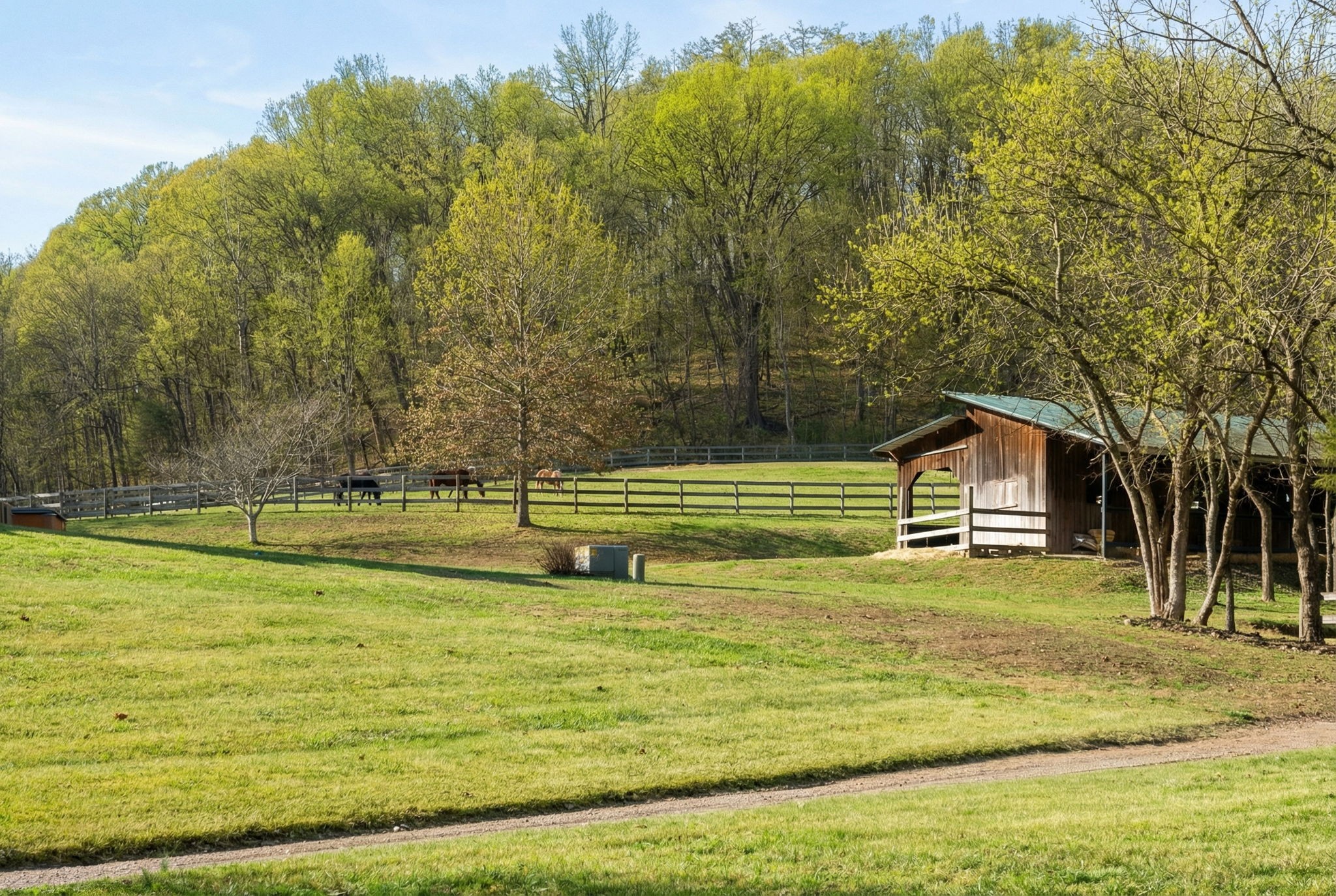 1067 Roys Private Way Gallatin, TN 37066 - Photo 12 of 81