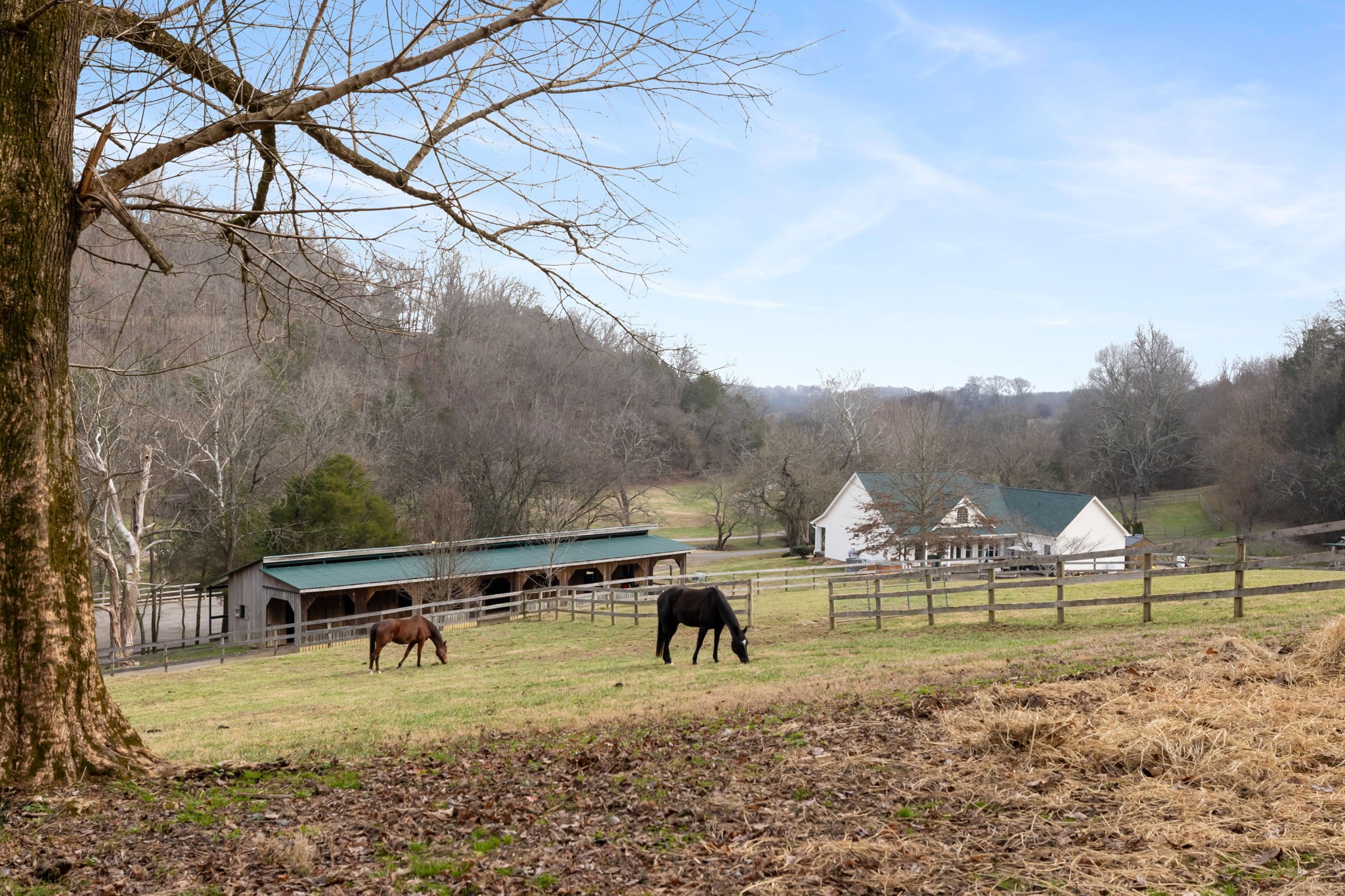 1067 Roys Private Way Gallatin, TN 37066 - Photo 39 of 59