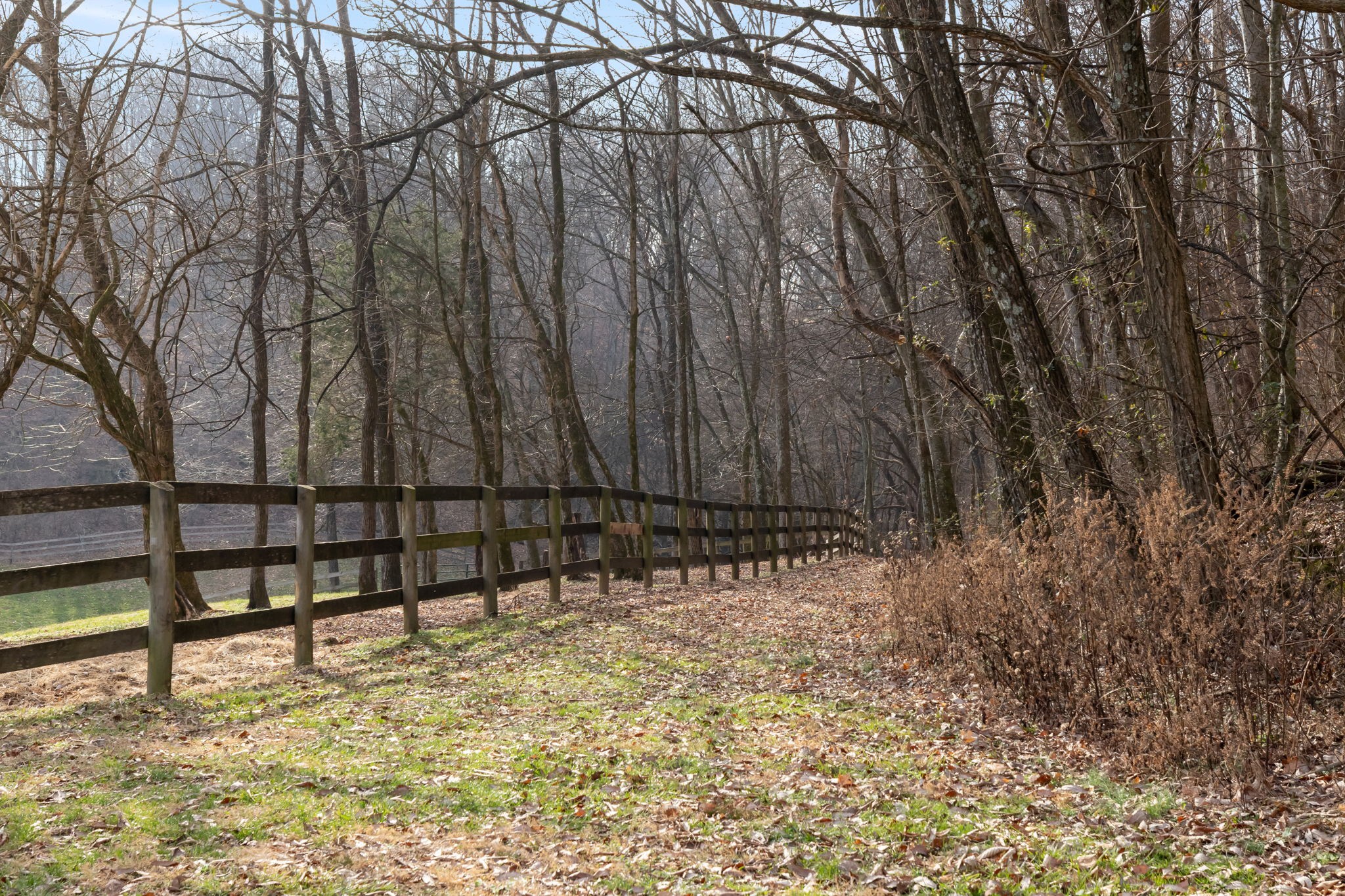 1067 Roys Private Way Gallatin, TN 37066 - Photo 40 of 59