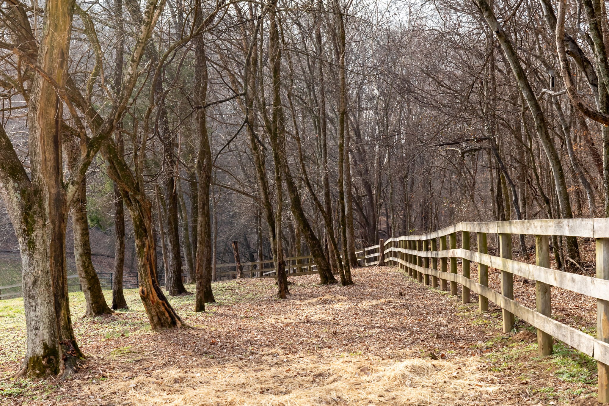 1067 Roys Private Way Gallatin, TN 37066 - Photo 42 of 81