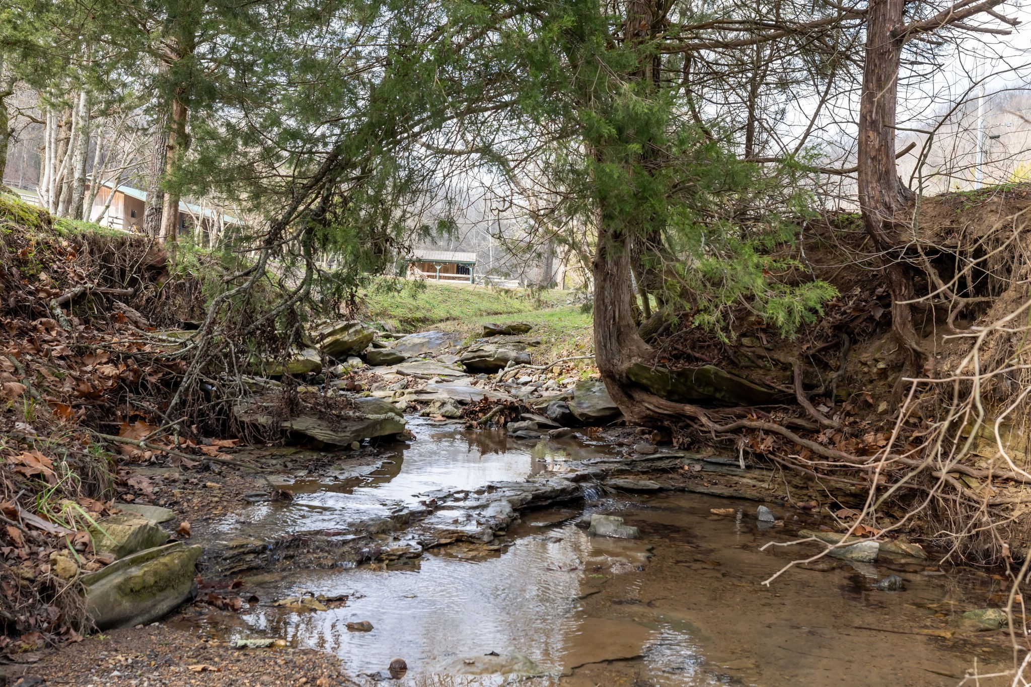 1067 Roys Private Way Gallatin, TN 37066 - Photo 44 of 59