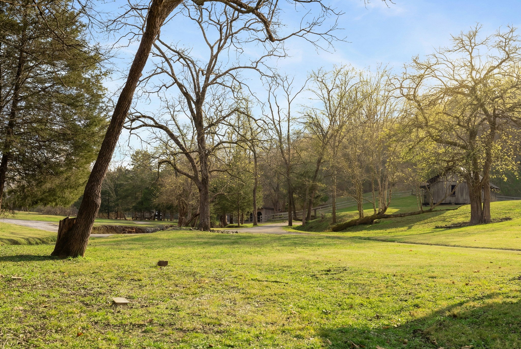 1067 Roys Private Way Gallatin, TN 37066 - Photo 46 of 81