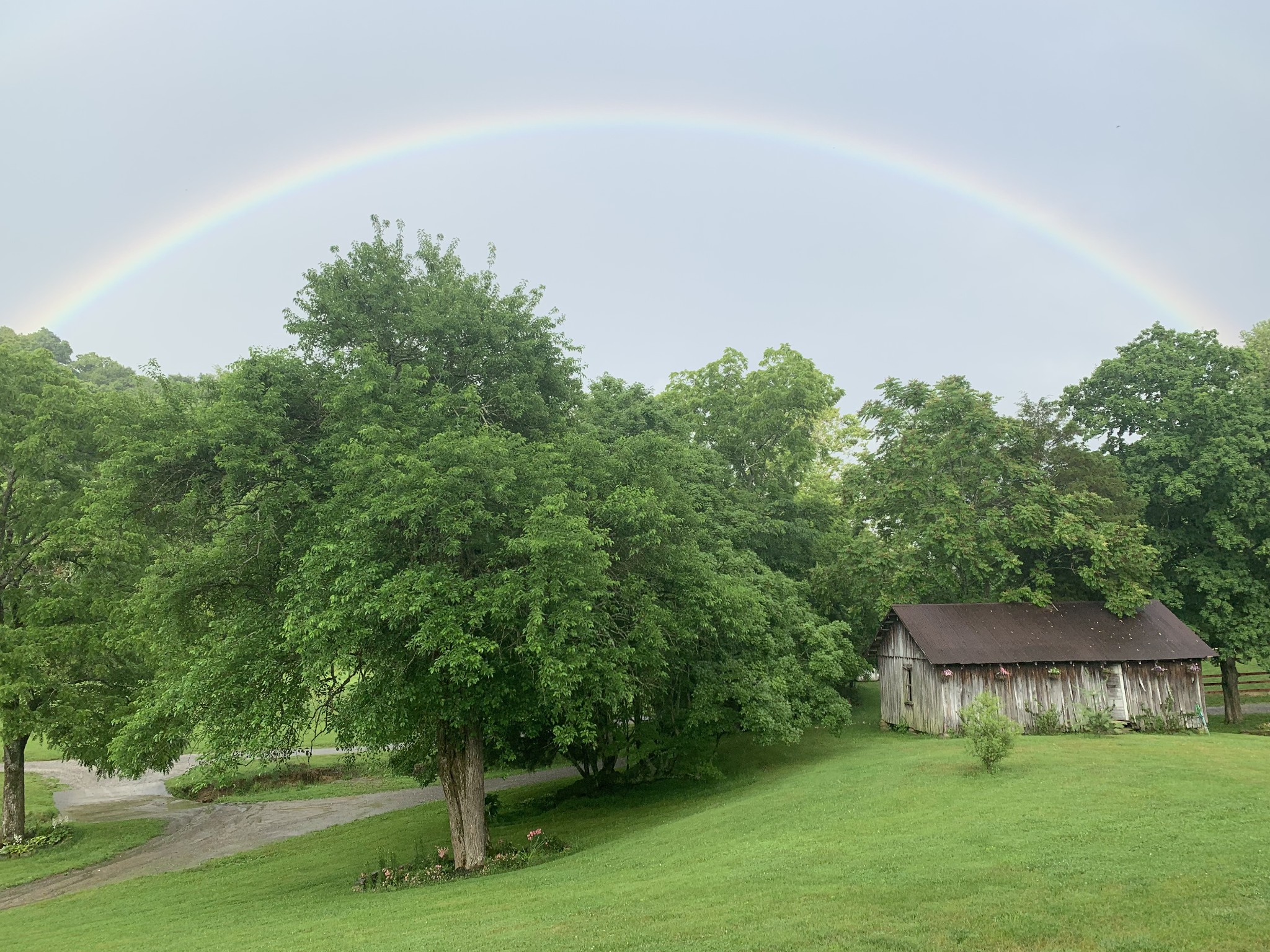 1067 Roys Private Way Gallatin, TN 37066 - Photo 47 of 81