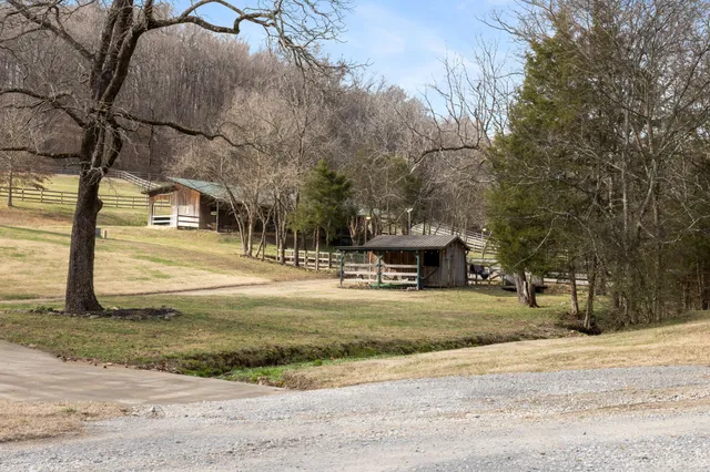 a view of yard with large trees