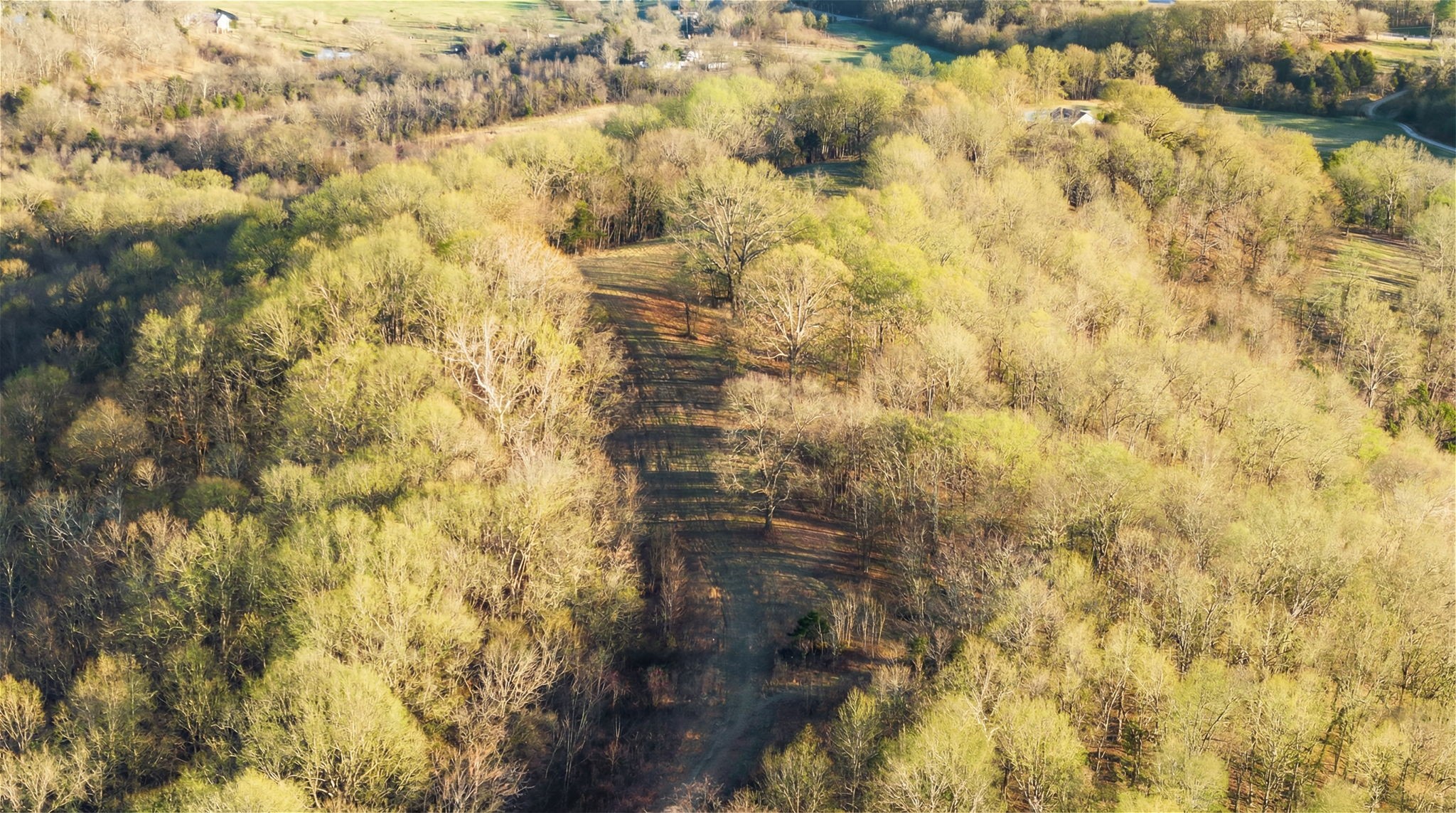 1067 Roys Private Way Gallatin, TN 37066 - Photo 49 of 81