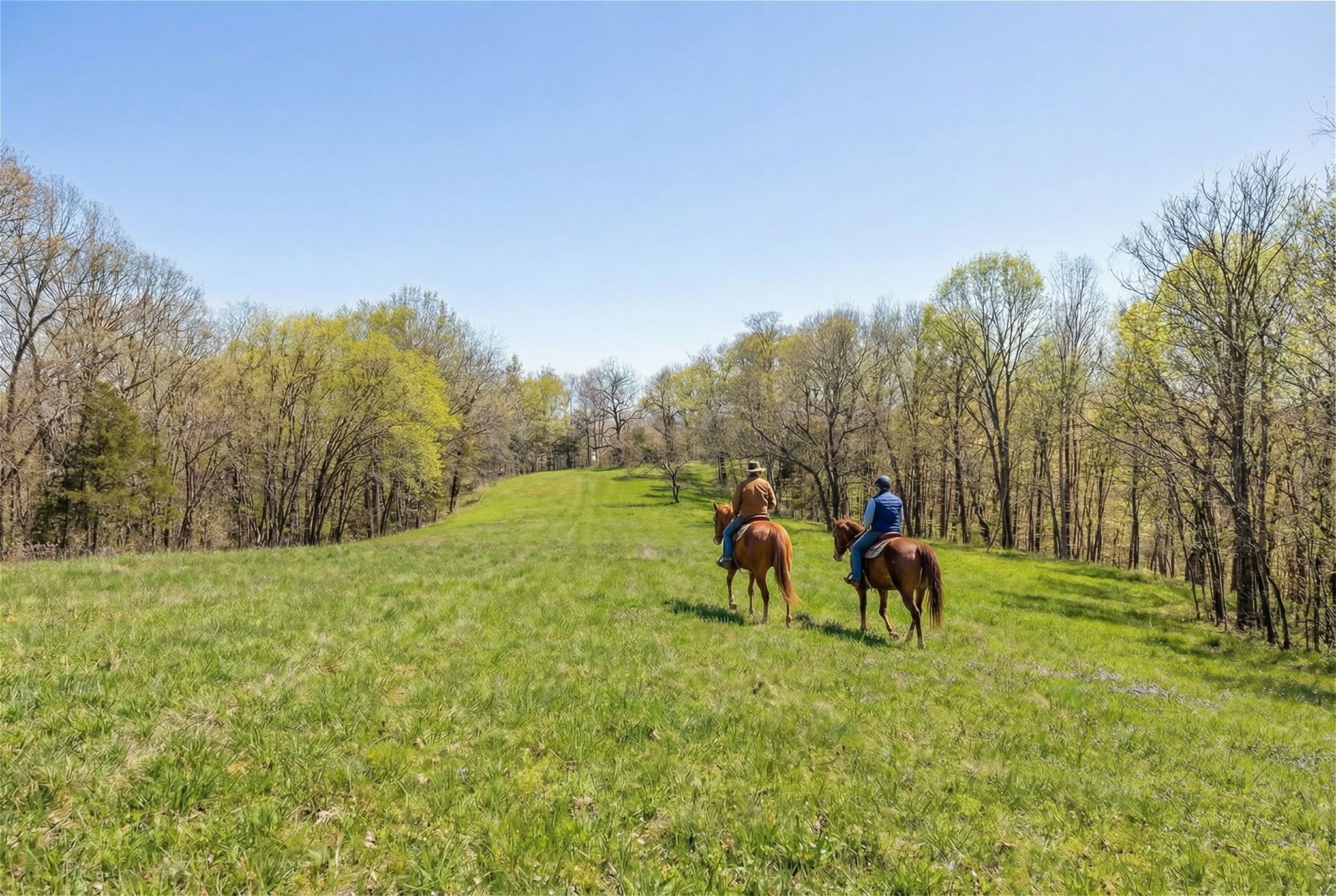 1067 Roys Private Way Gallatin, TN 37066 - Photo 51 of 81