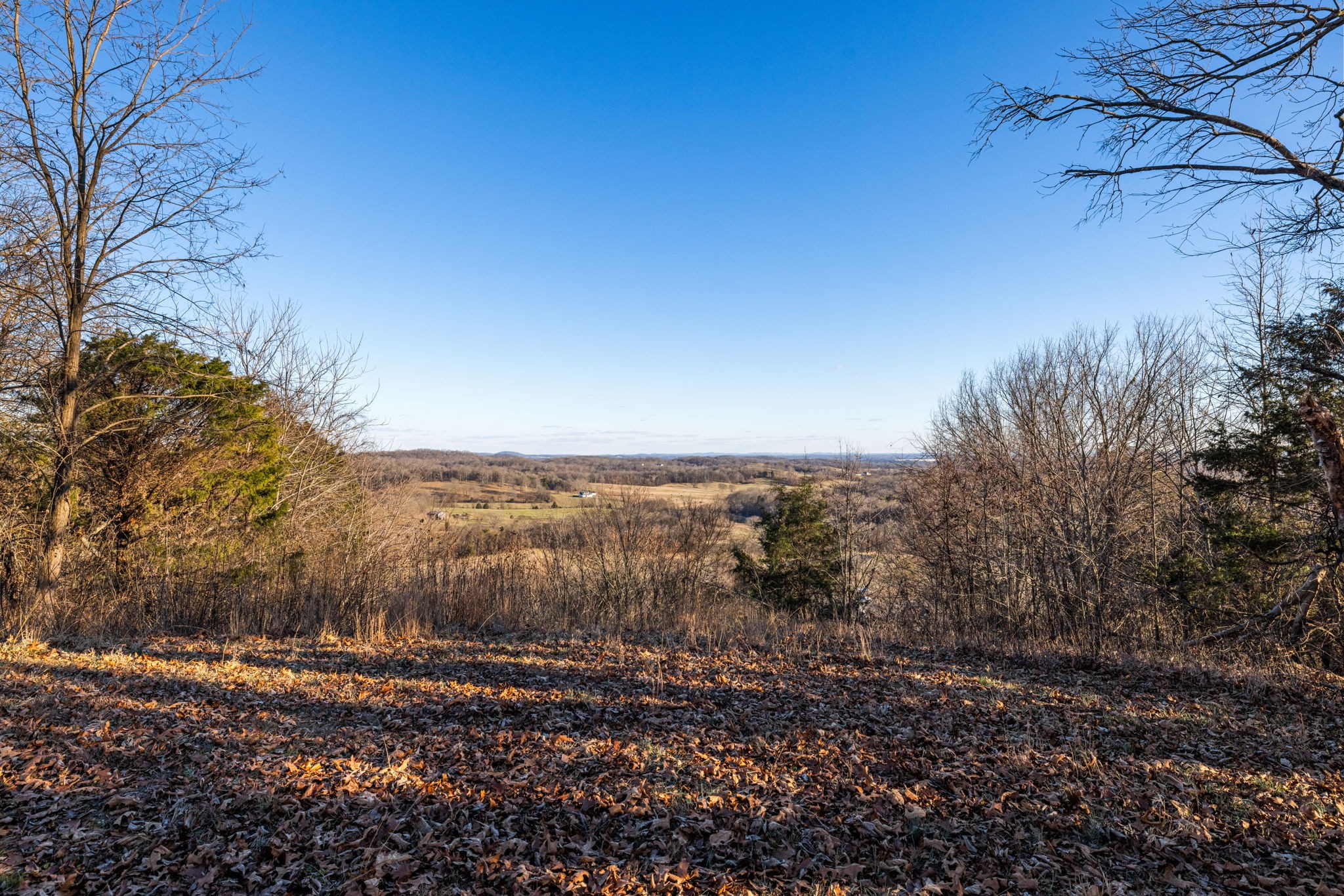 1067 Roys Private Way Gallatin, TN 37066 - Photo 52 of 81