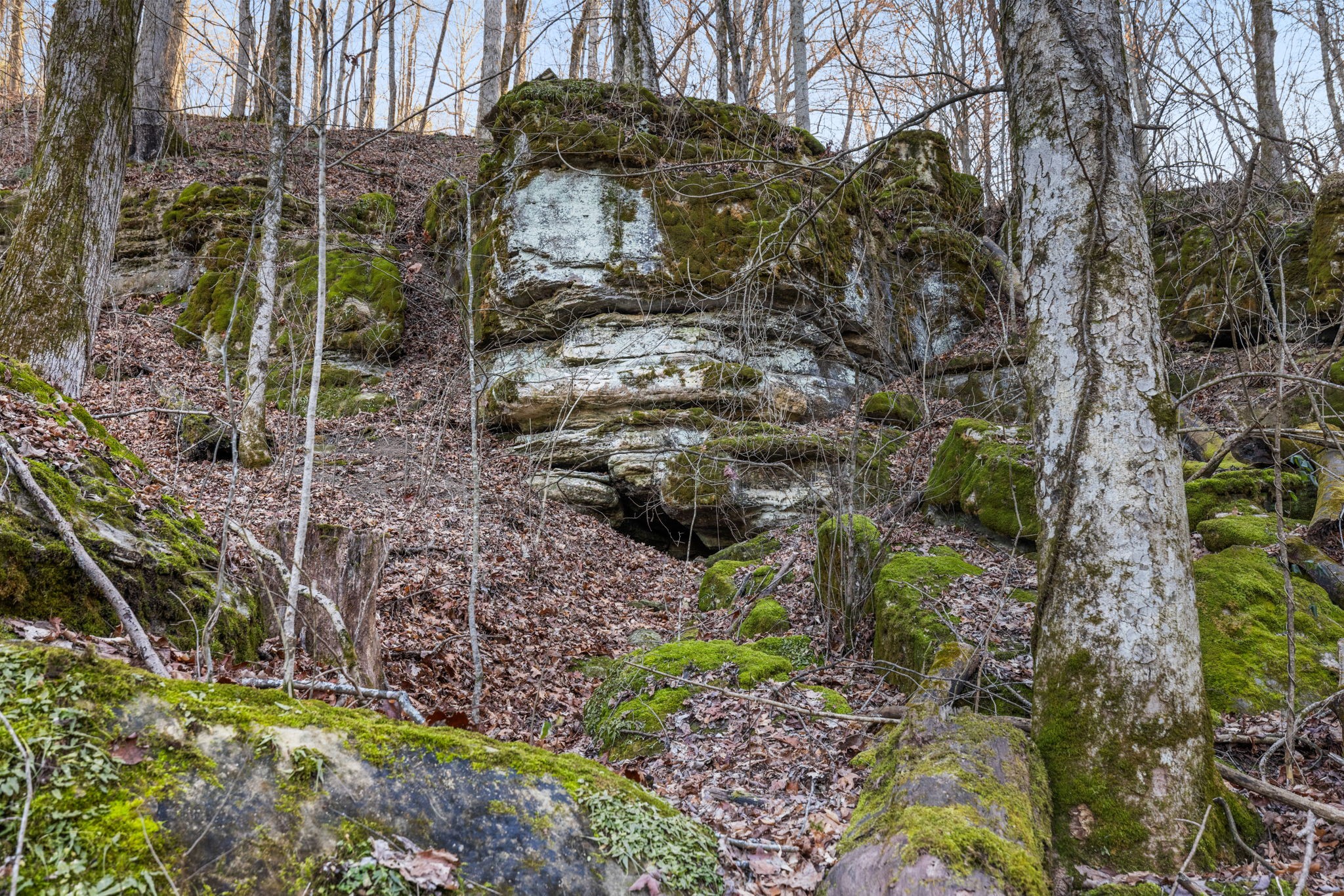 1067 Roys Private Way Gallatin, TN 37066 - Photo 53 of 81