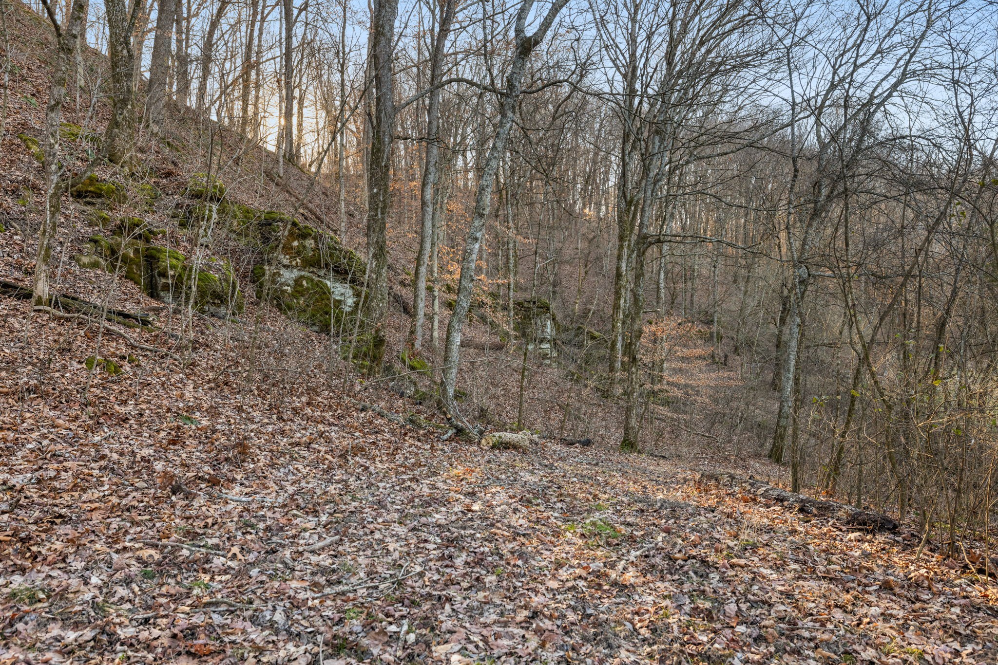 1067 Roys Private Way Gallatin, TN 37066 - Photo 55 of 81