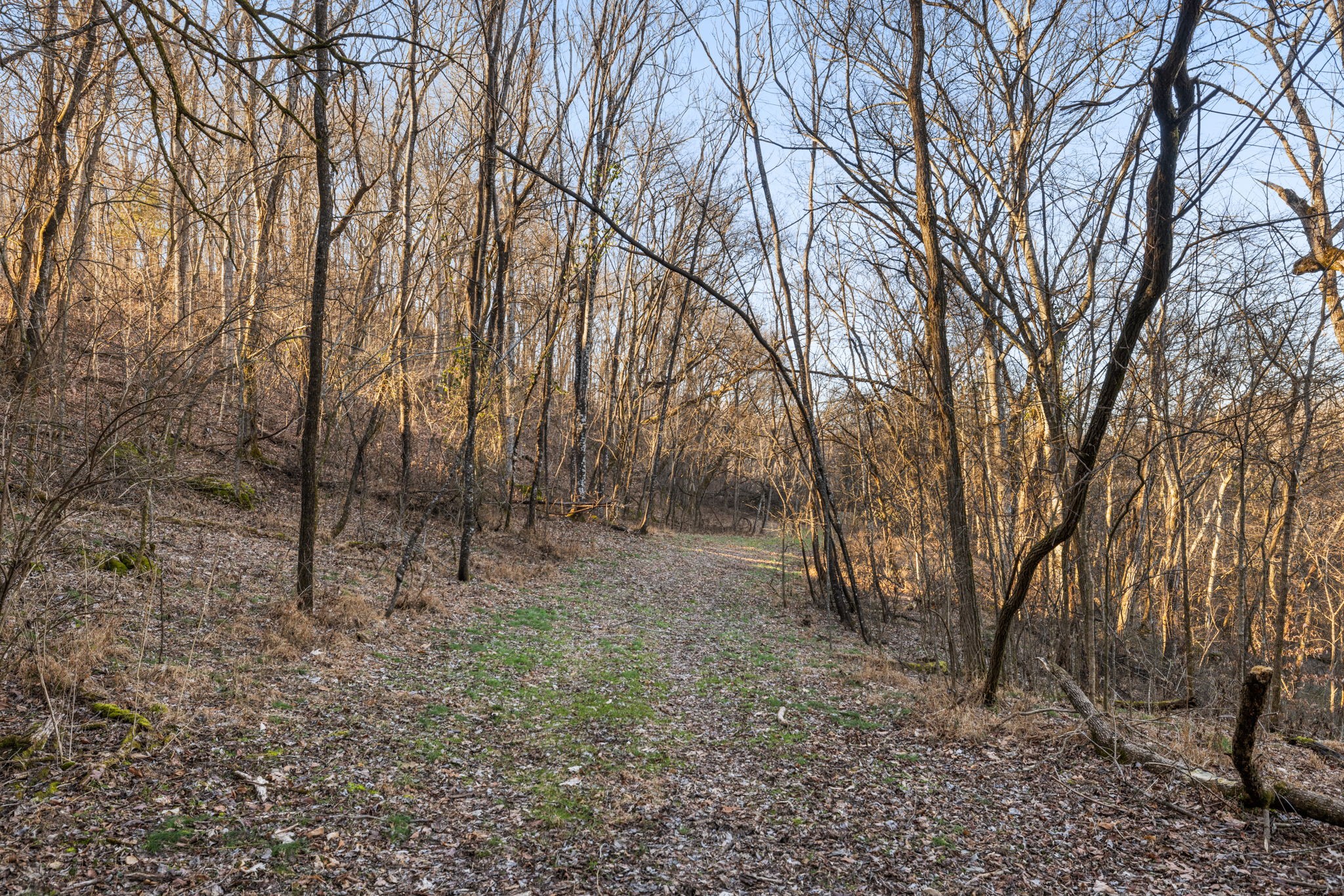 1067 Roys Private Way Gallatin, TN 37066 - Photo 57 of 81