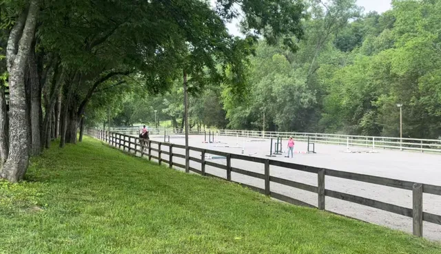 a view of a swimming pool with a yard