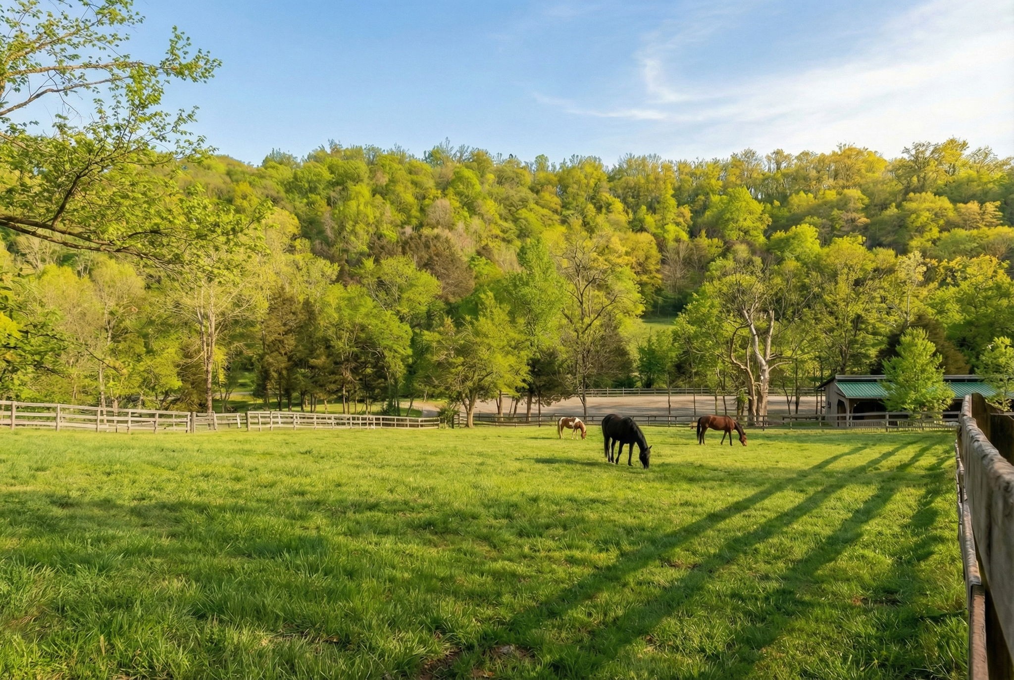 1067 Roys Private Way Gallatin, TN 37066 - Photo 9 of 81