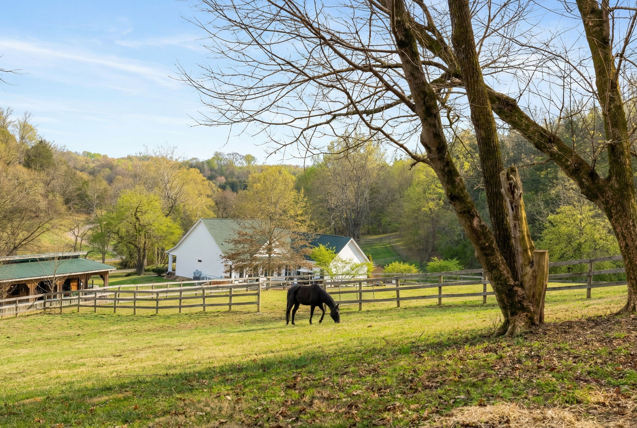 1067 Roys Private Way Gallatin, TN 37066 - Photo 10 of 81