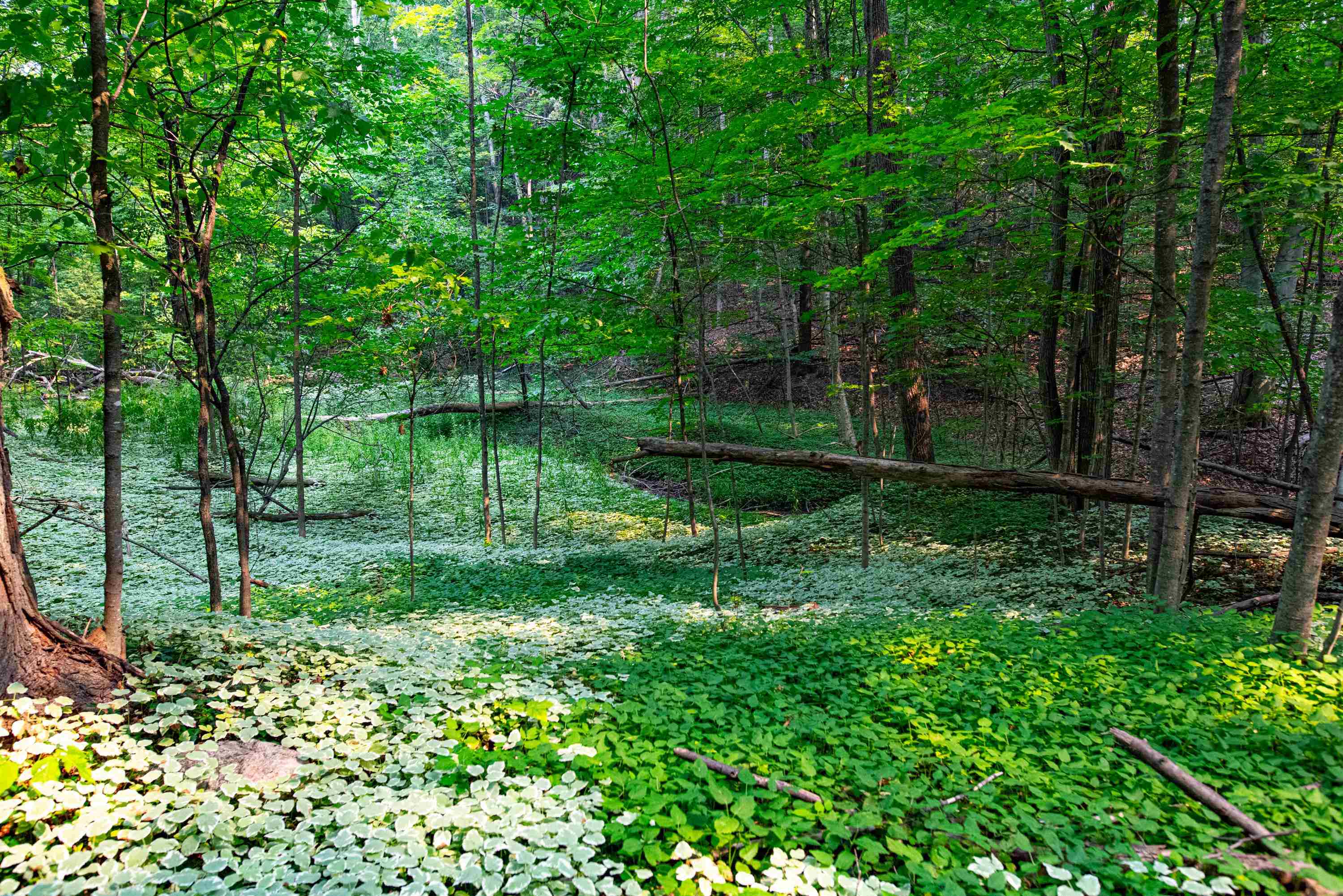 0 East Grandview Road Traverse City, MI 49684 - Photo 9 of 24