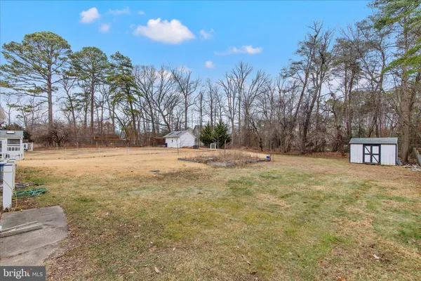 a view of open space with trees in the background