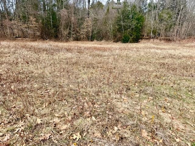 0 Mckenna Way, Unit 2 West Chesterfield, NH 03466 - Photo 2 of 12